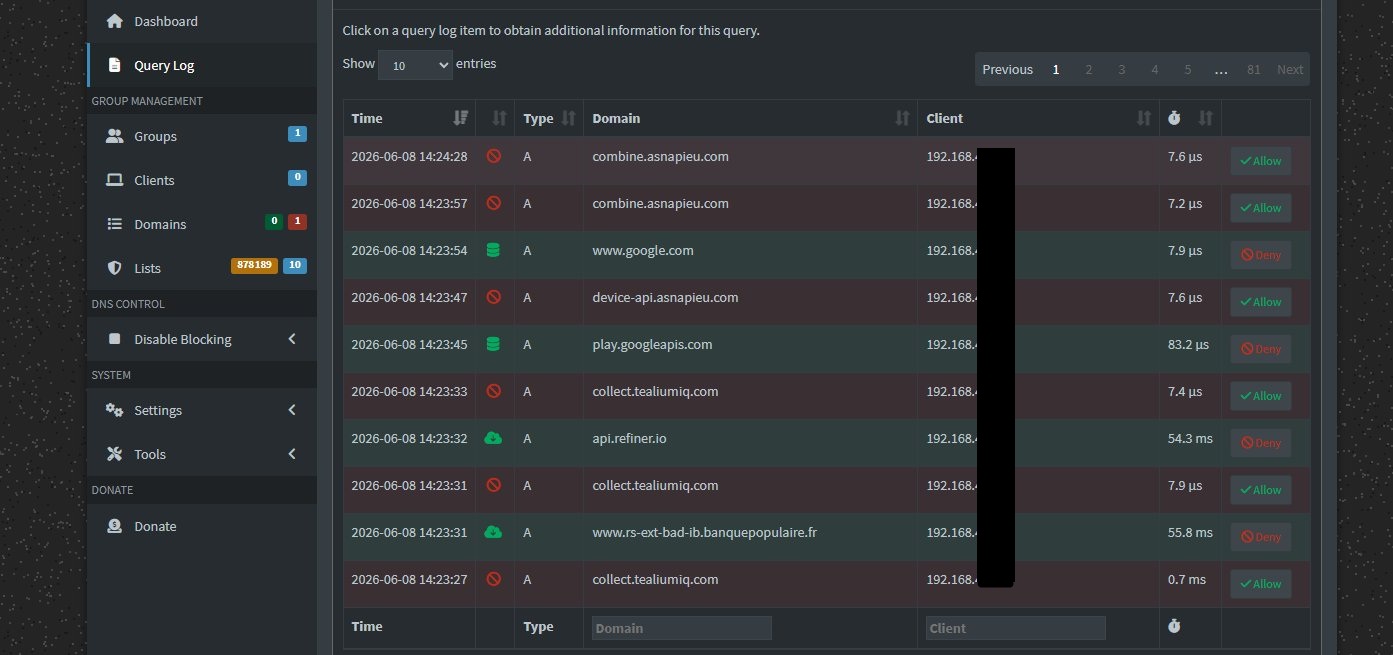Query log Pi-hole